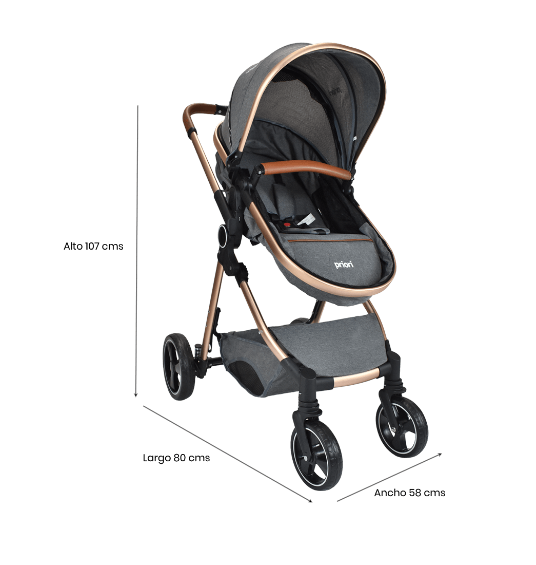 Coche Bebe Moises Compacto Con Portabebe Priori Mike Ts Gris