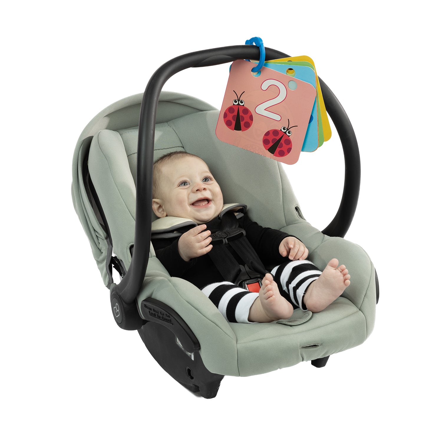 Alfombra de actividades Plegable para Bebé Baby Einstein Discovery Garden 